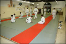 Agde Judo