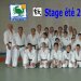 Stage Judo Eté 2011