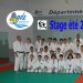 Stage Judo Eté 2011